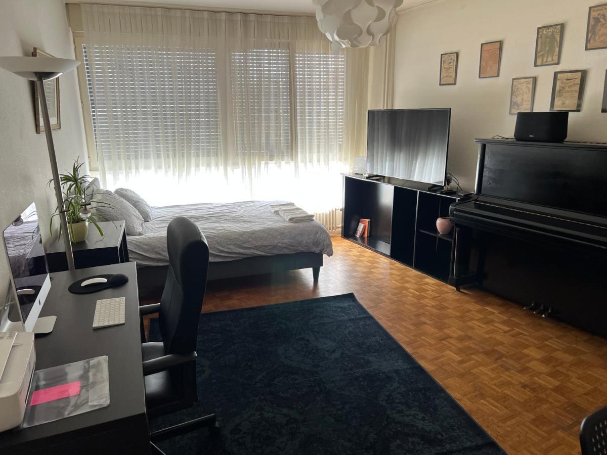 2 Bedroom Flat Near Nations And In The Center Geneva Luaran gambar